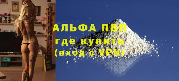 эйфоретик Вяземский
