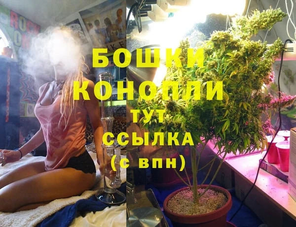 эйфоретик Вяземский