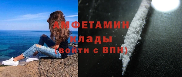 эйфоретик Вяземский
