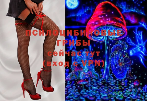 эйфоретик Вяземский